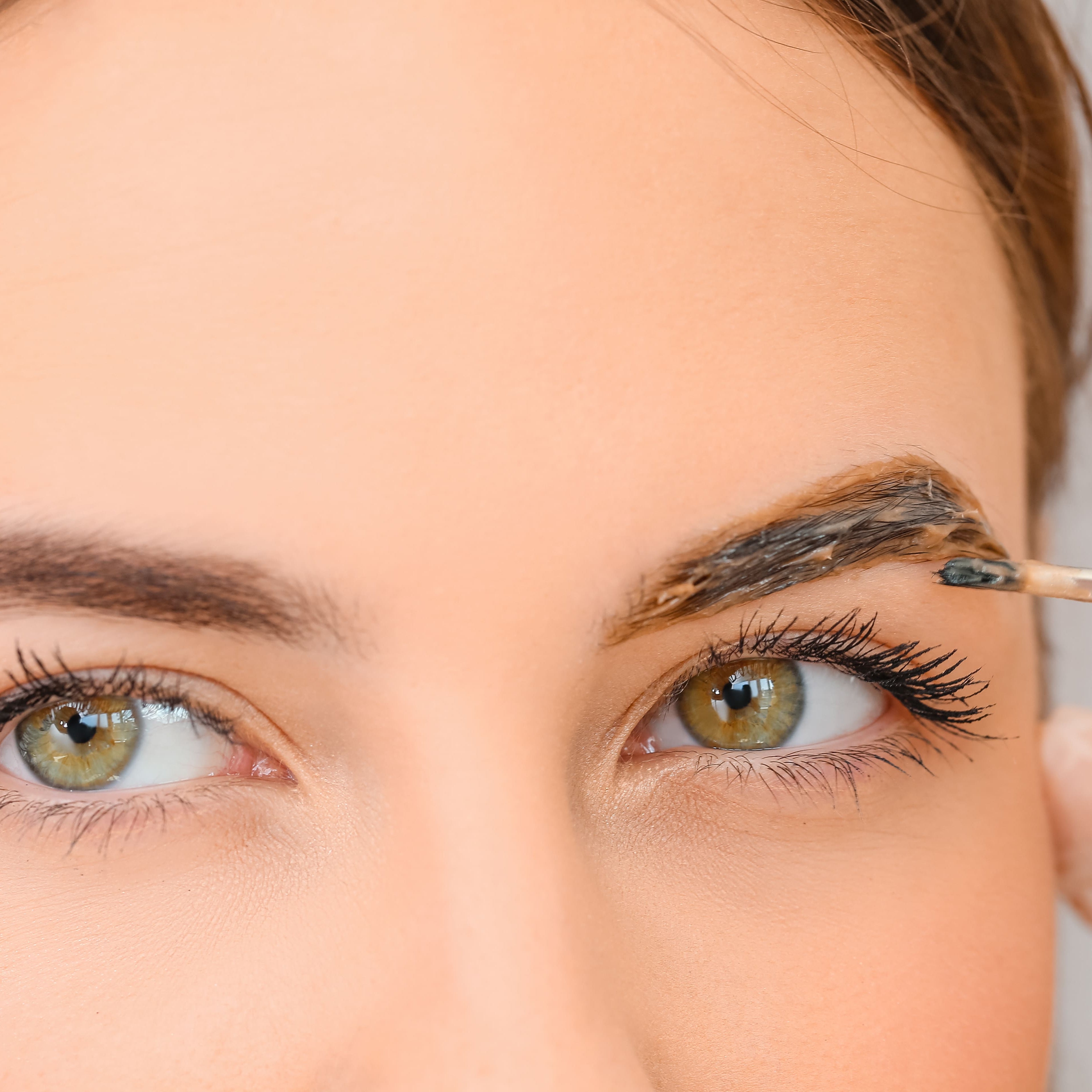 THE BROW VEIL